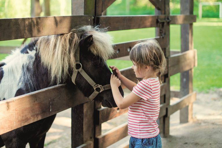 Kindergeburtstag Pferde